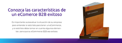 Ebook Caracteristicas ecommerce b2b