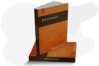 Ebook caracteristicas eCommerce B2B
